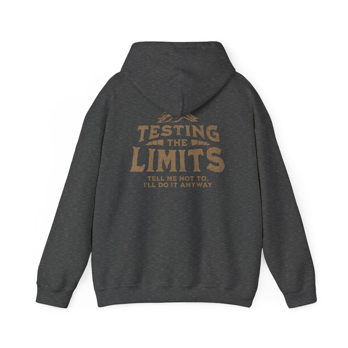 Testing The Limits - Hoodie