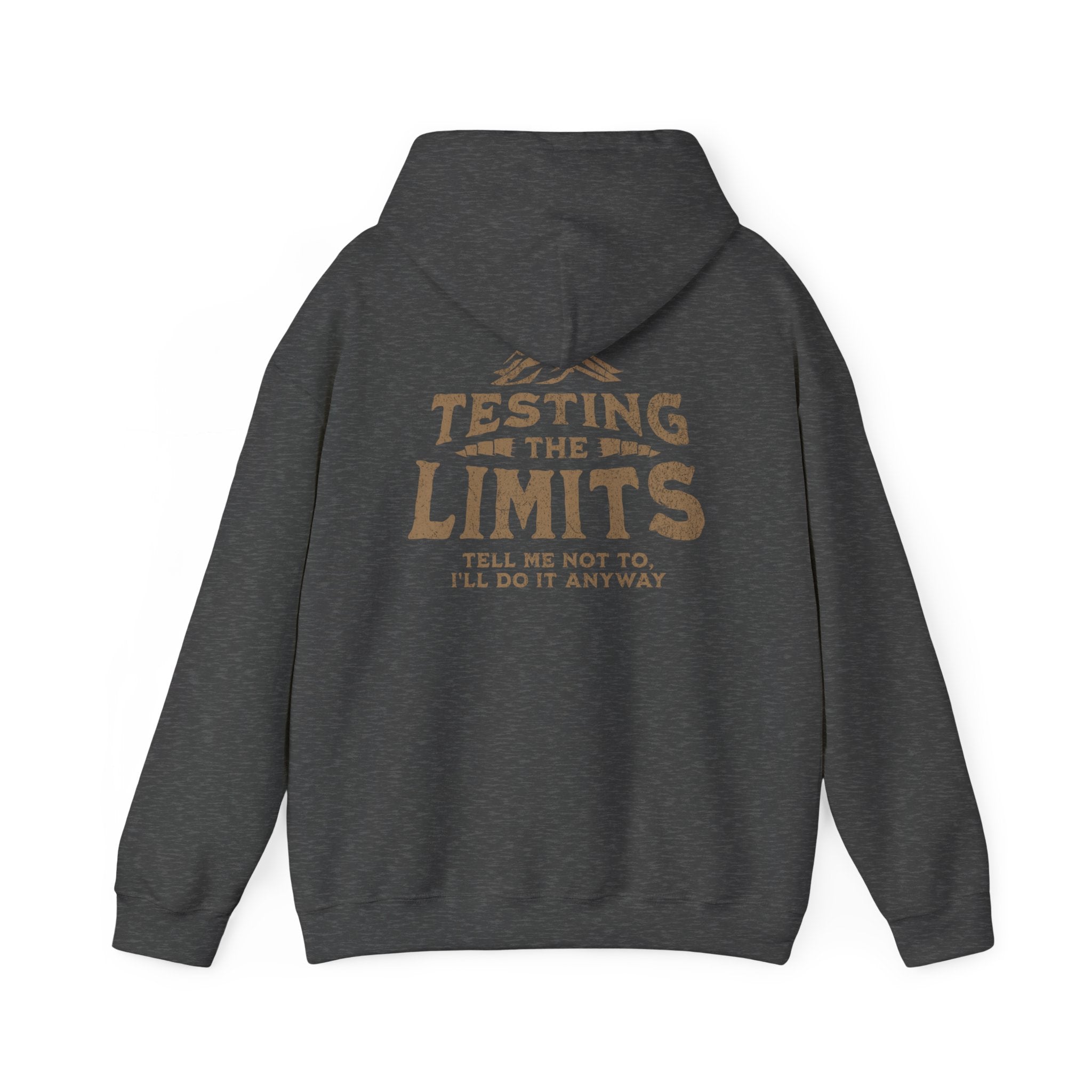 Testing The Limits - Hoodie