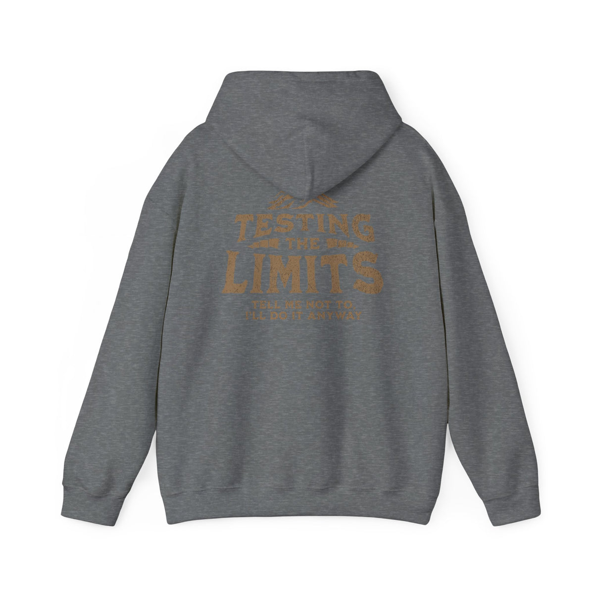 Testing The Limits - Hoodie