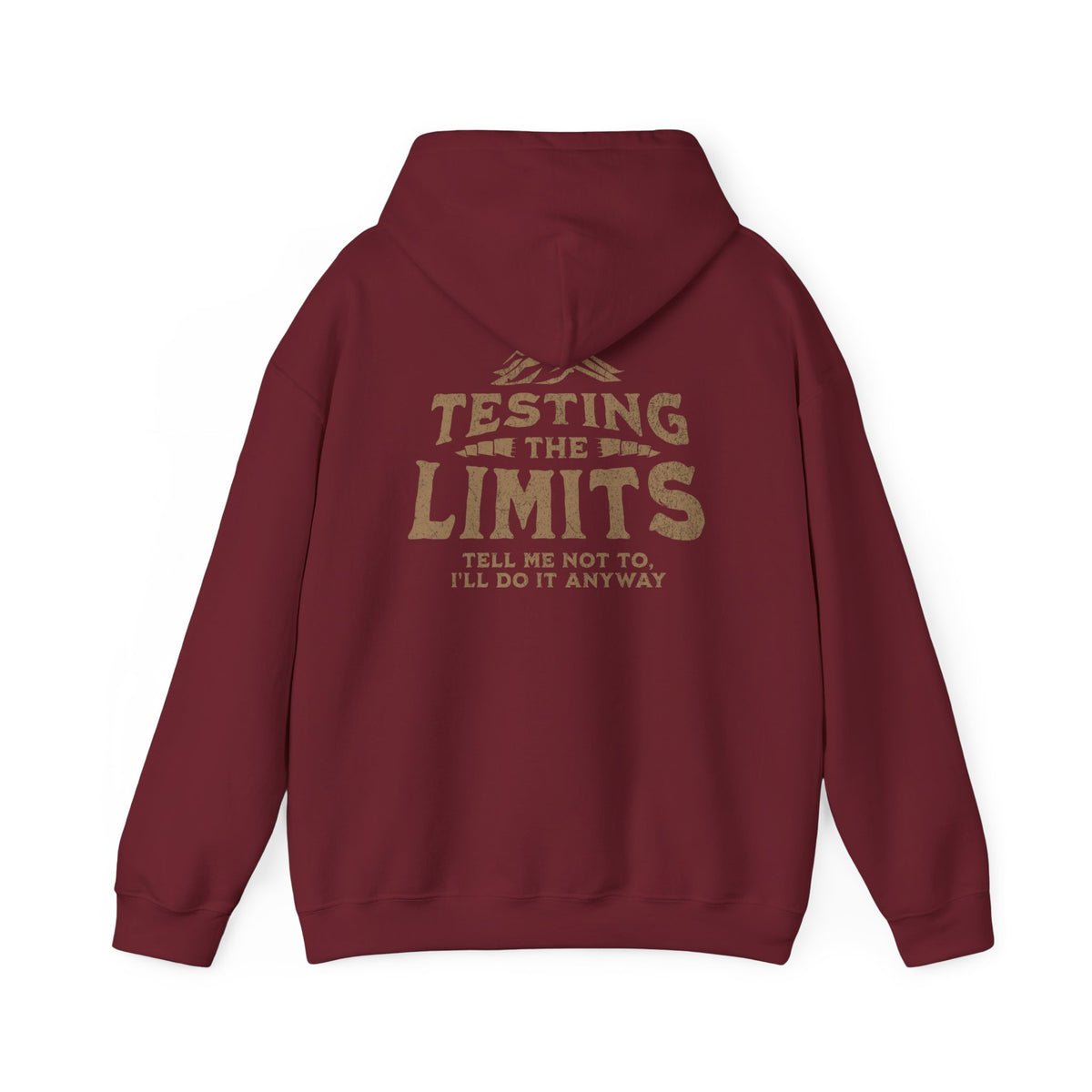 Testing The Limits - Hoodie