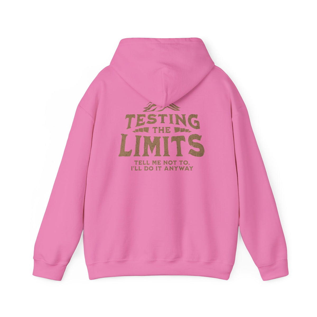 Testing The Limits - Hoodie